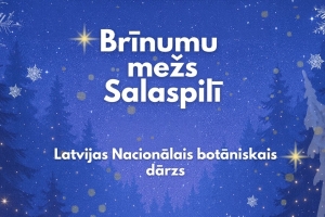 Salaspilī pirmo reizi atklās labdarībai veltītu Ziemassvētku sajūtu dārzu “Brīnumu mežs”